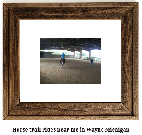 horse trail rides near me in Wayne, Michigan